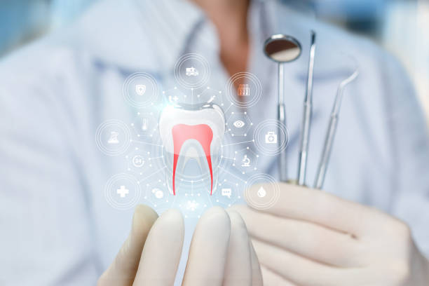 Best Preventive Dentistry  in Lakewood Park, TN